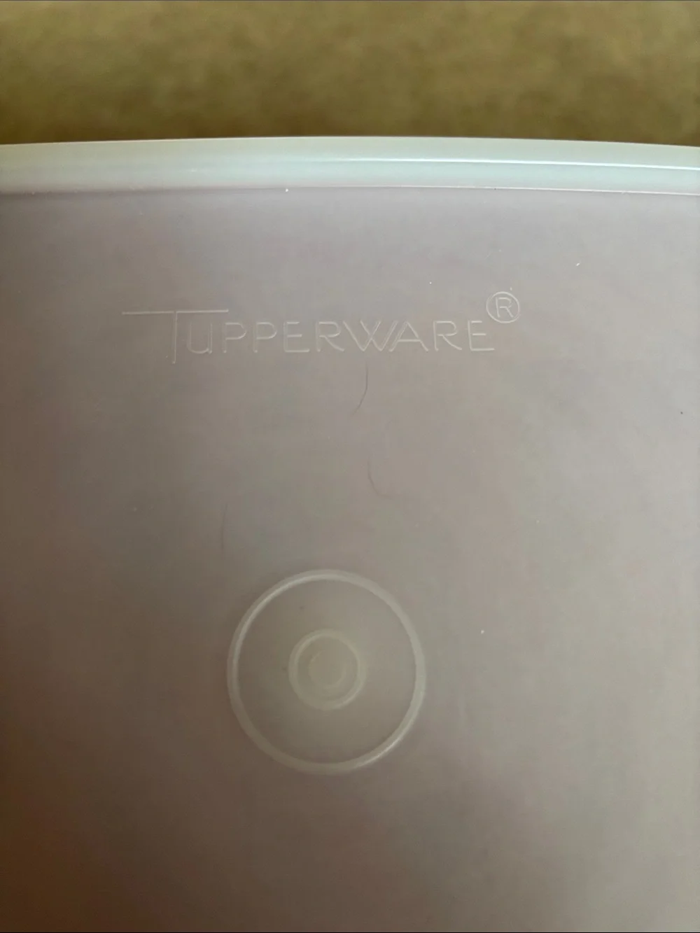 Tupperware Marinade with Frosted Lid